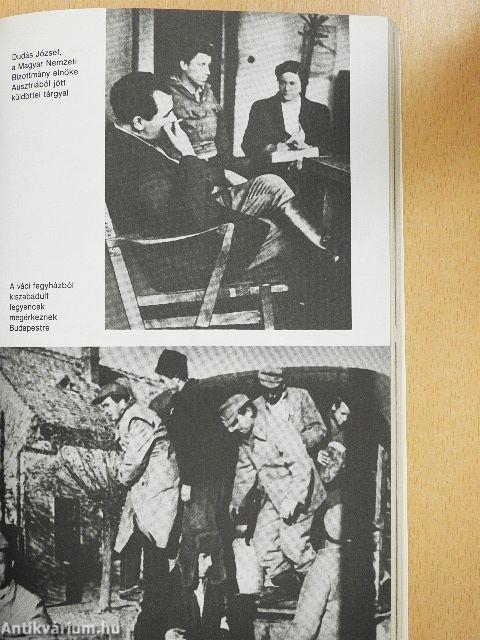 Az ellenforradalom utóvédharca