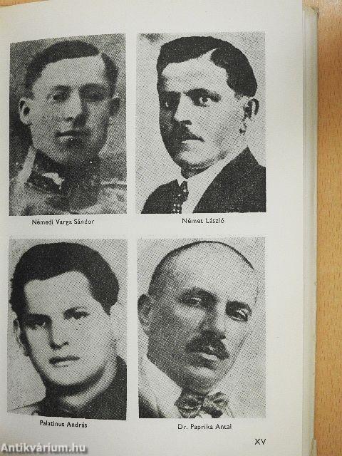 "Küzdtünk híven a forradalomért..."