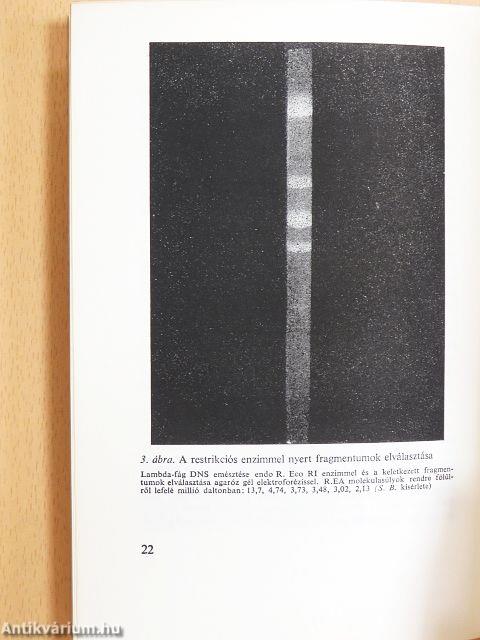 A biológia aktuális problémái 9.