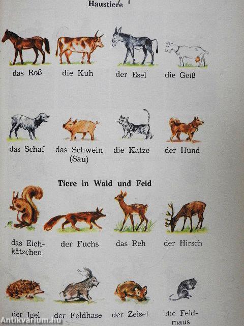 Német nyelvkönyv III-IV.