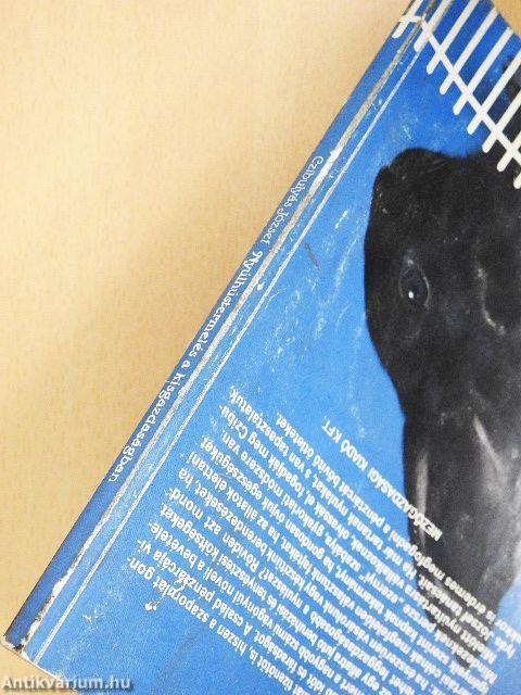 Nyúlhústermelés a kisgazdaságban