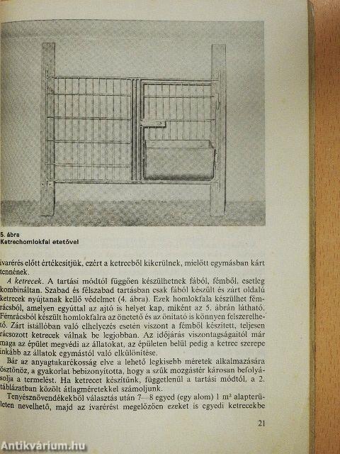 Nyúlhústermelés a kisgazdaságban