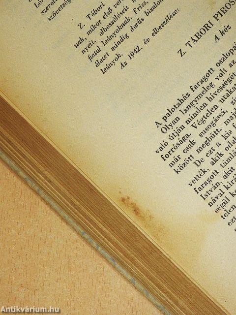 Ötven év legszebb ifjúsági elbeszélései