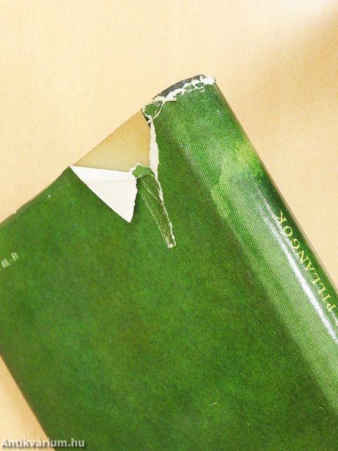 Bohémek és pillangók