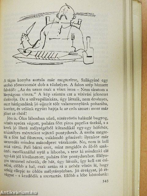 Leányfalu és vidéke