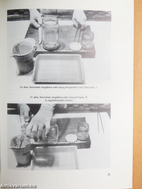 A háziállatok diagnosztikai boncolása