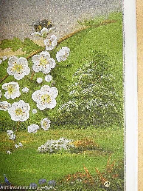 The Fireside Book 2011