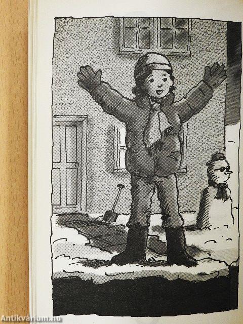 My Magical Pony - Midnight Snow