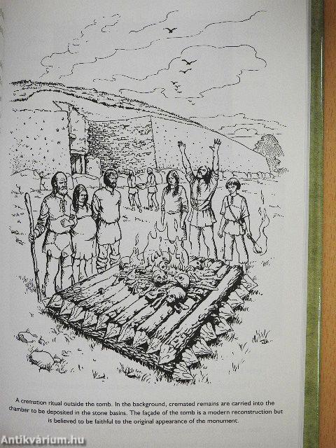 Exploring Newgrange