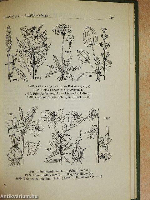 Növényhatározó II.