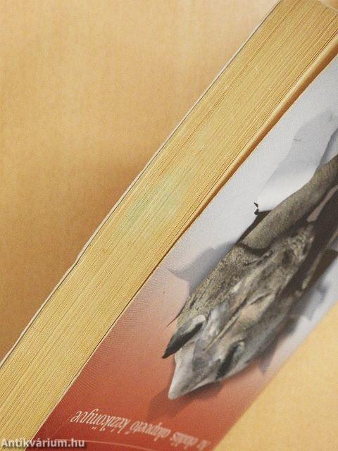 Rinocérosz üzletkötés