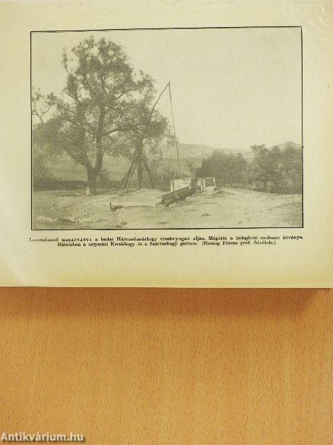 Magyar föld, magyar faj II.