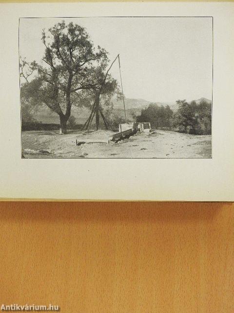 Magyar föld, magyar faj II.