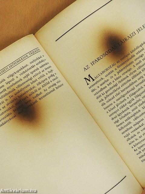 Magyar föld, magyar faj II.