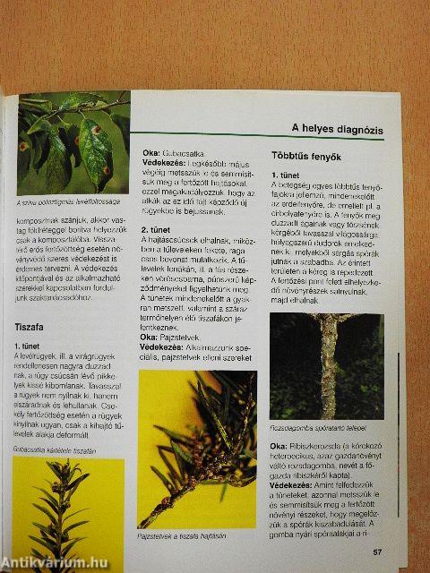 Védekezés kerti kártevők és kórokozók ellen