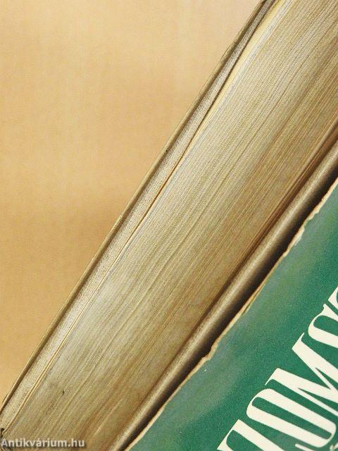 Szomszédság és közösség