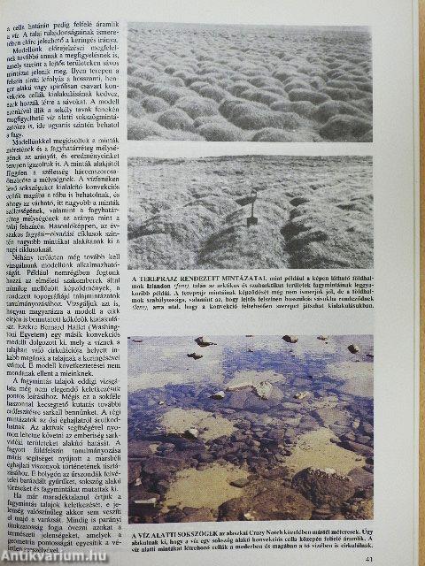 Tudomány 1989. január-december