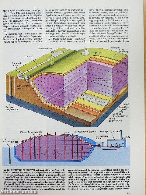 Tudomány 1989. január-december