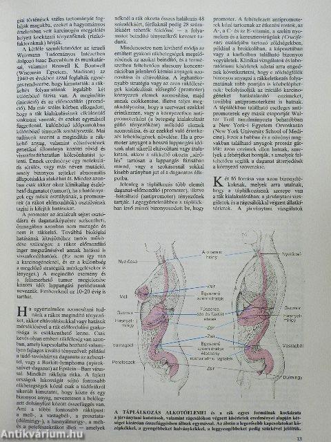 Tudomány 1988. január-december