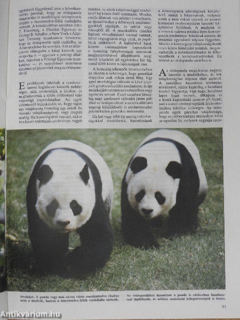 Tudomány 1988. január-december