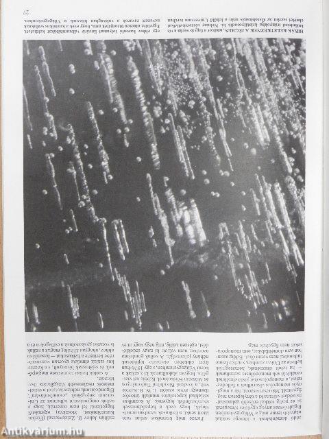 Tudomány 1988. január-december