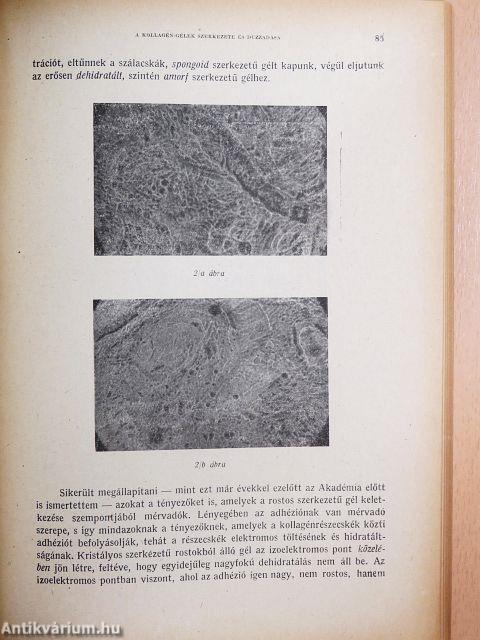 A Magyar Tudományos Akadémia Kémiai Tudományok Osztályának Közleményei 1952/1-4.