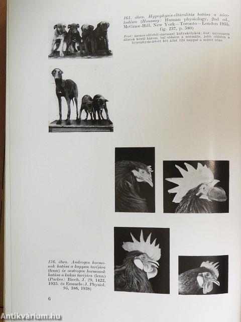Élettan, kórélettan