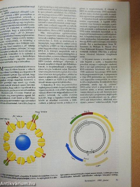Tudomány 1991. június