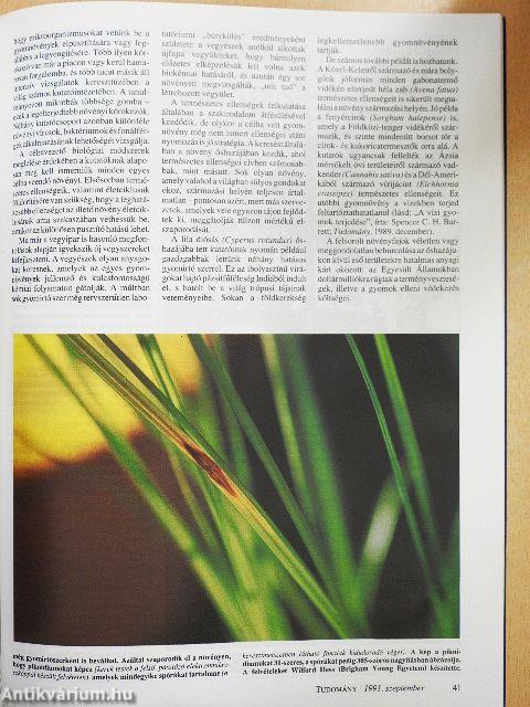 Tudomány 1991. szeptember