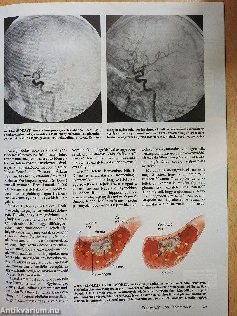 Tudomány 1991. szeptember