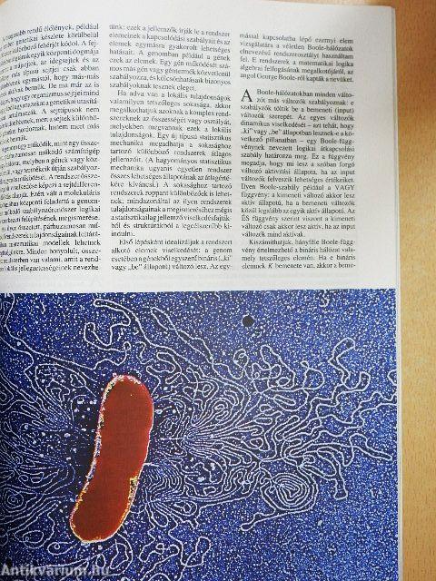 Tudomány 1991. október