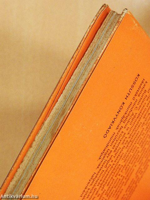 A nürnbergi huszonkettő