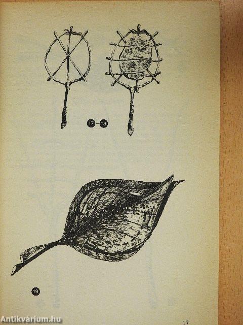 Sütés-főzés hegyen-völgyön, vízparton