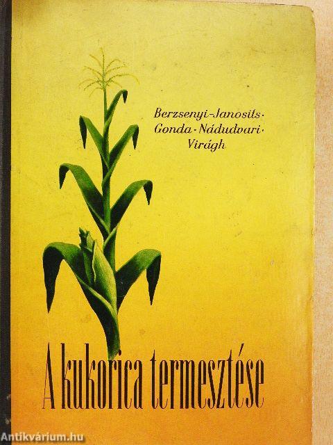 A kukorica termesztése