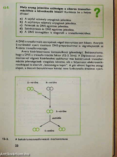 Értem-e a molekuláris genetikát?
