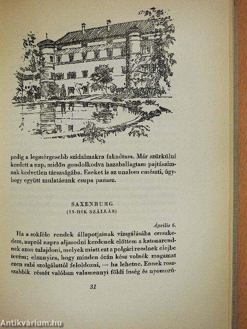 Napló és francia fogságom