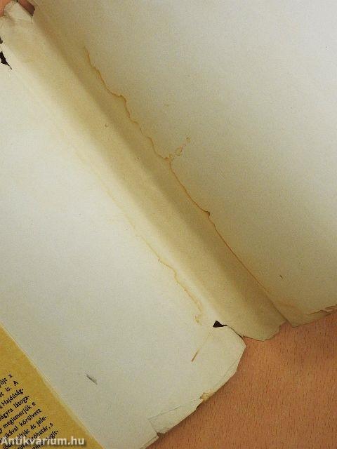 Fiúk Évkönyve 1969