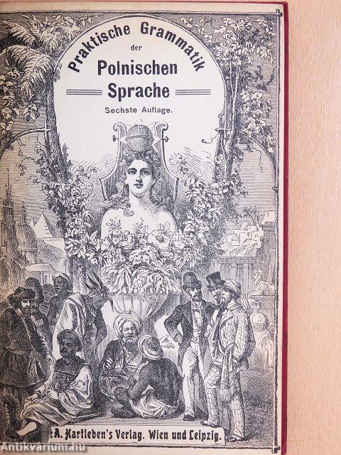 Praktische Grammatik der Polnischen Sprache für den Selbstunterricht