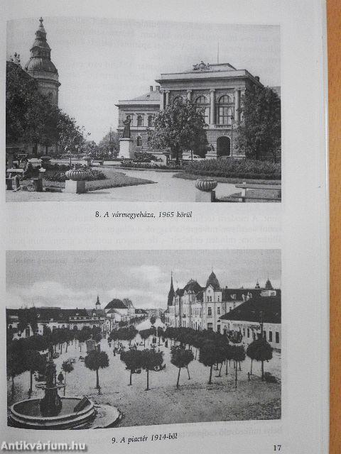 Egy orvos a történelem sodrában