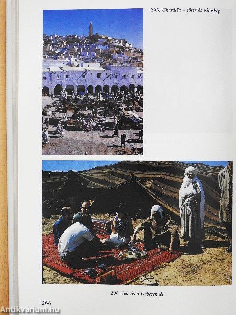 Egy orvos a történelem sodrában