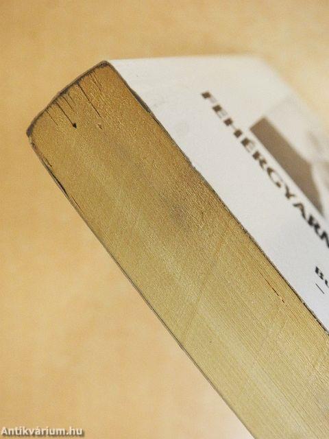 Fehérgyarmat tangót jár