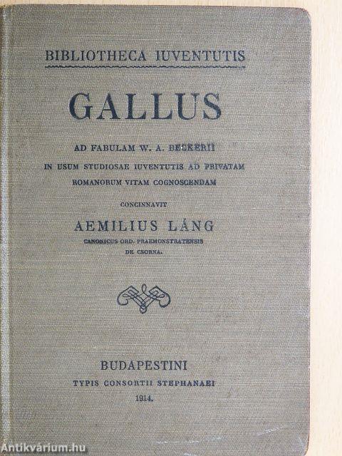 Gallus