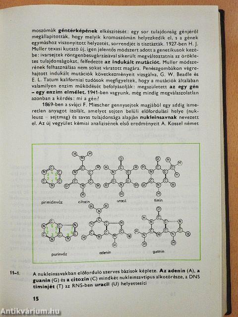 Értem-e a molekuláris genetikát?