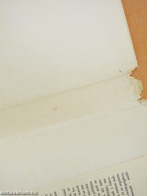 Eupraxia császárné pokoljárása