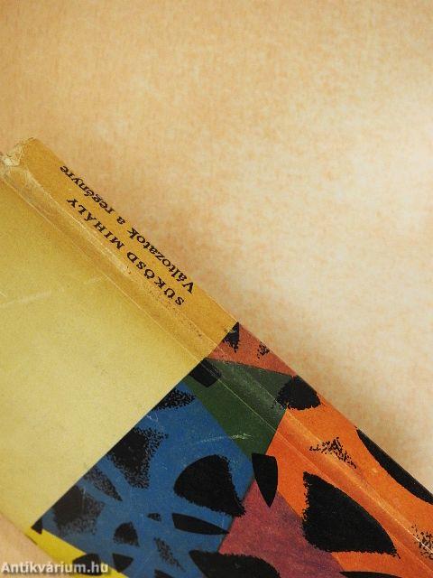 Változatok a regényre