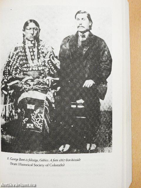 Wounded Knee-nél temessétek el a szívem