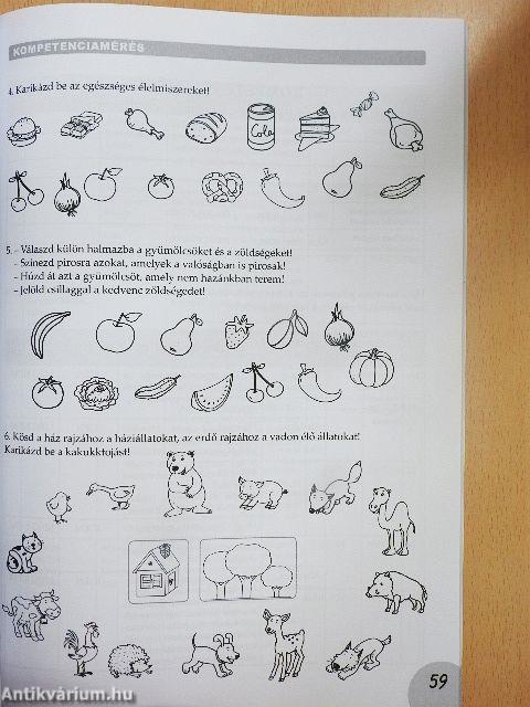 Medvecukor iskolás lesz - Tanítói kézikönyv 30-34. hét