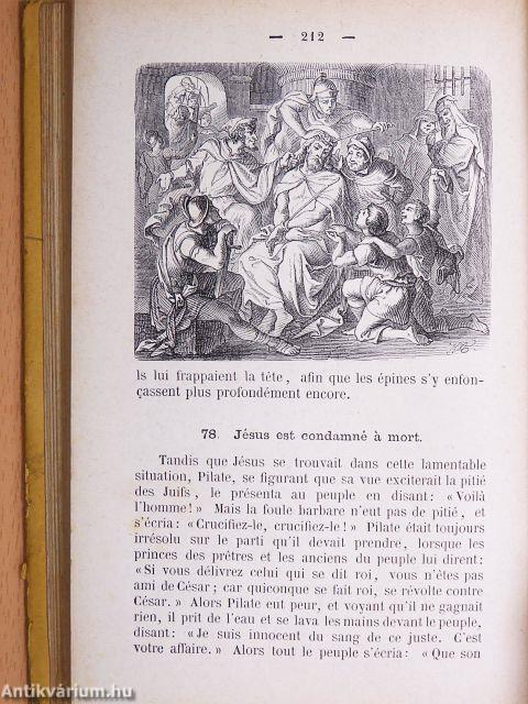 Petite Bible Illustrée