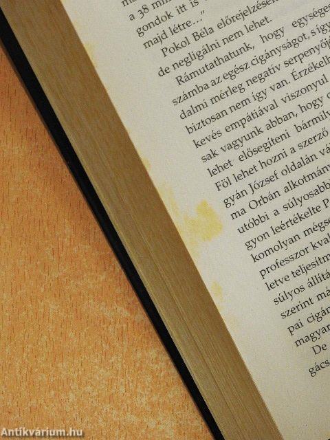 Ne bántsd a cigányt!