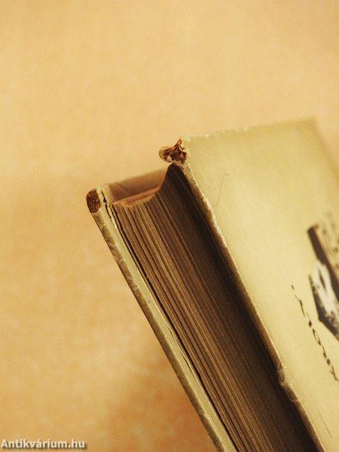 Budai Nagy Antal históriája/Varju-nemzetség